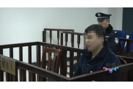 东阿专业讨债公司有哪些核心服务？