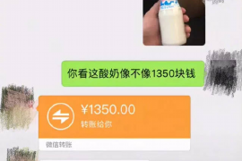 东阿如果欠债的人消失了怎么查找，专业讨债公司的找人方法